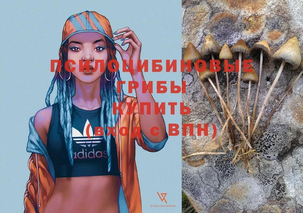 соль ск Алексеевка