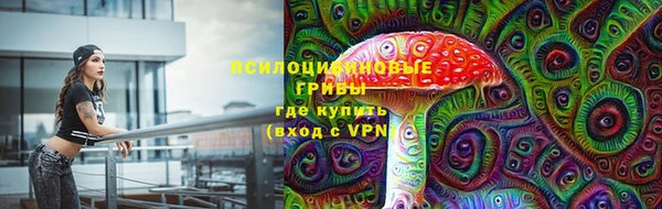 скорость Алзамай