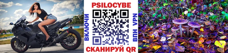 Псилоцибиновые грибы мицелий  сколько стоит  блэк спрут   Асино 