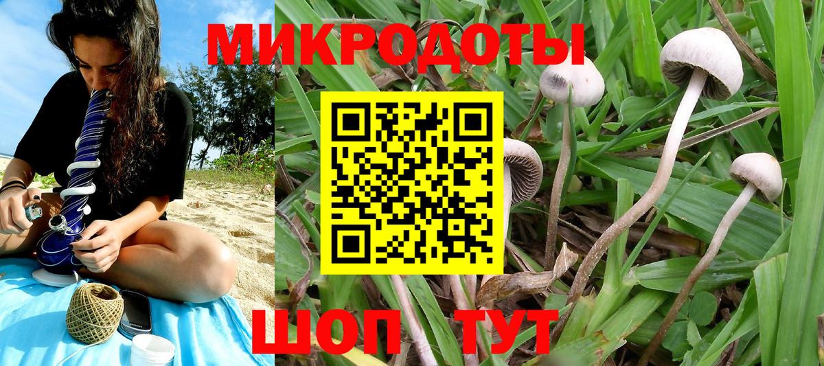 Псилоцибиновые грибы MAGIC MUSHROOMS Асино