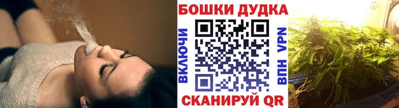 Бошки Шишки планчик  Асино 